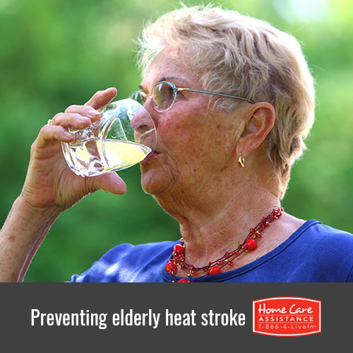 How to Prevent Senior Heat Stroke in Dallas, TX
