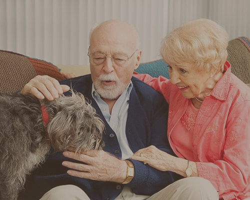 Dementia Home Care Services